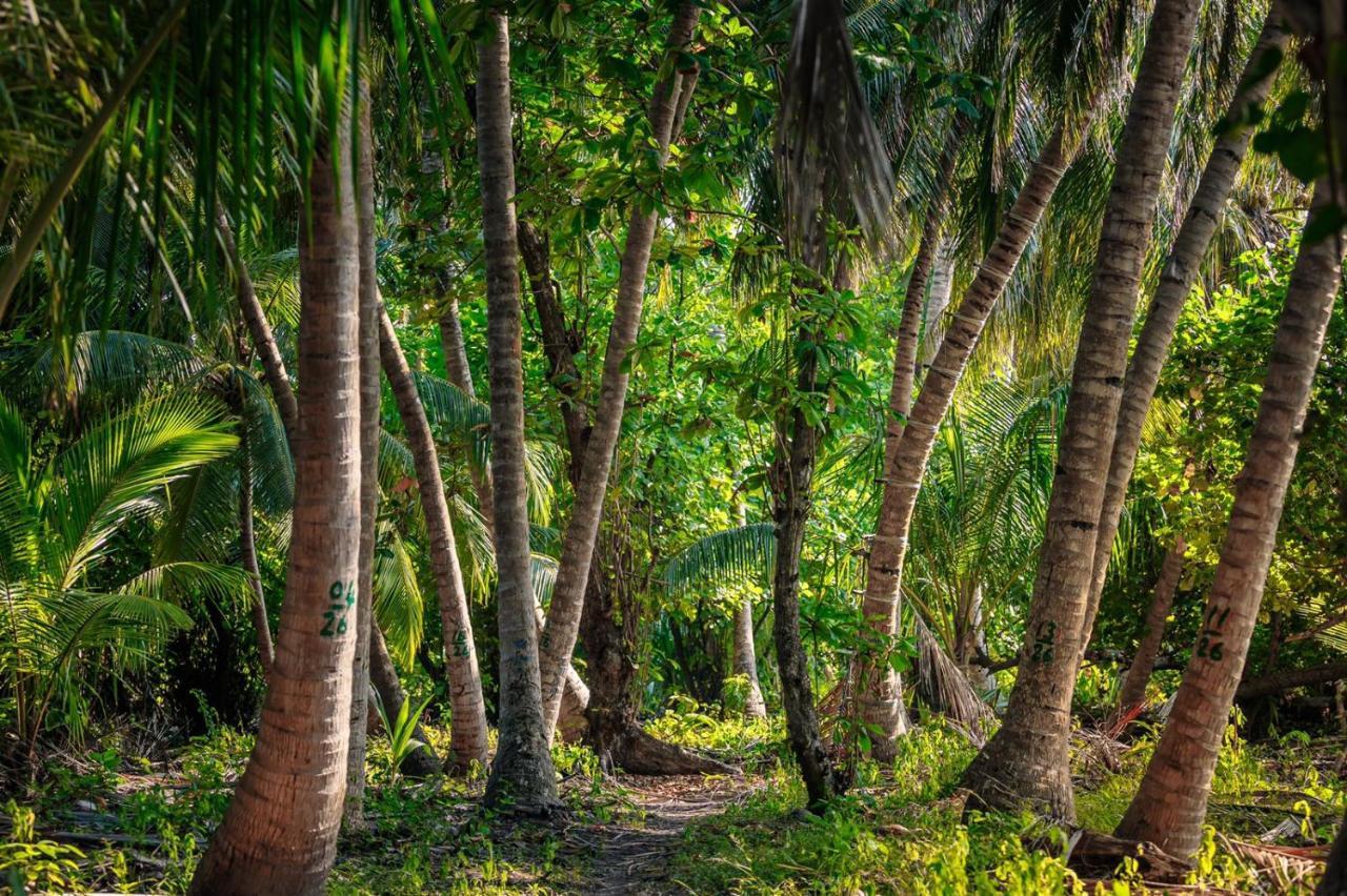 Fehendhoo Stay Buitenkant foto